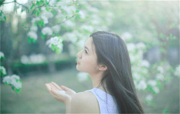 张湾验血查男女几周可以验(验血查男女结果图)